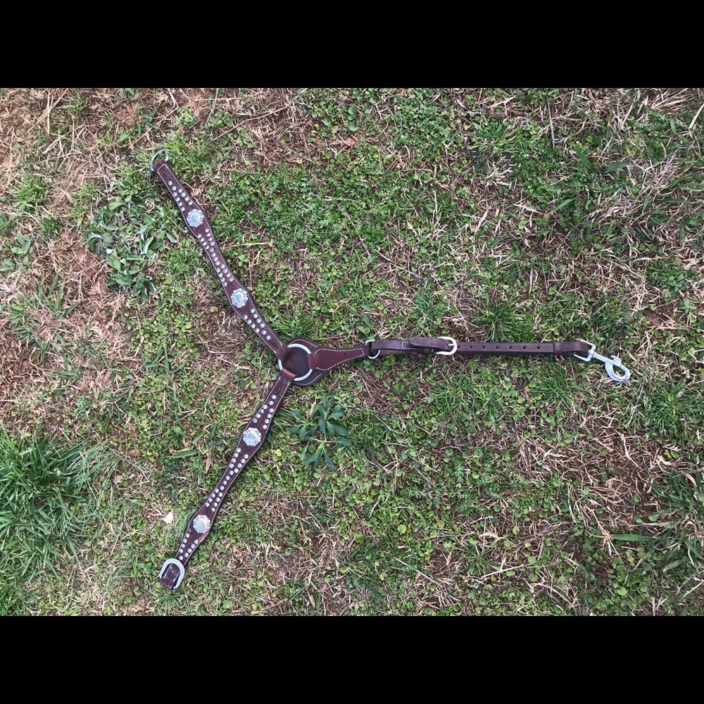 Horse Tack . Pretty brown tack set with stones